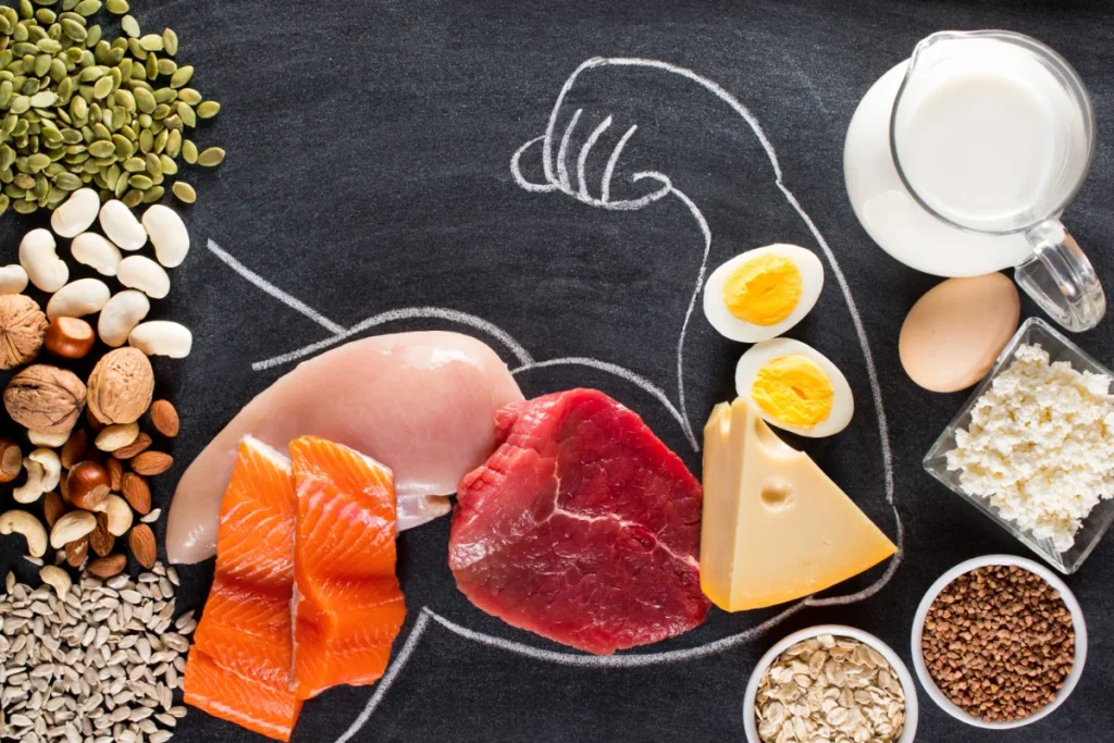As proteínas ajudam no ganho muscular e perda de peso.