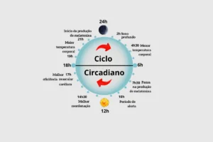 Ciclo circadiano: o regulador natural do nosso corpo.