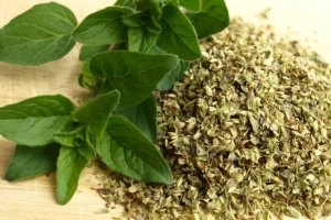 Folhas verdes da planta de orégano junto a outras moídas.